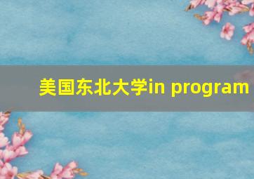 美国东北大学in program